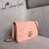 Gucci Bag 117